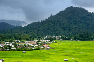 a cross section of luch green valley of ziro