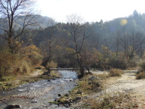 landscape shergaon arunachal pradesh dscn7746